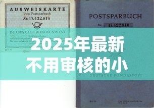 2025年最新不用审核的小额贷款：如何快速获得免审批的小额资金