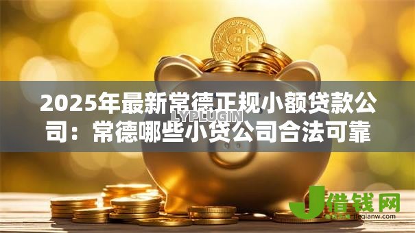 2025年最新常德正规小额贷款公司:常德哪些小贷公司合法可靠 2025年最新常德正规小额贷款公司:常德哪些小贷公司合法可靠