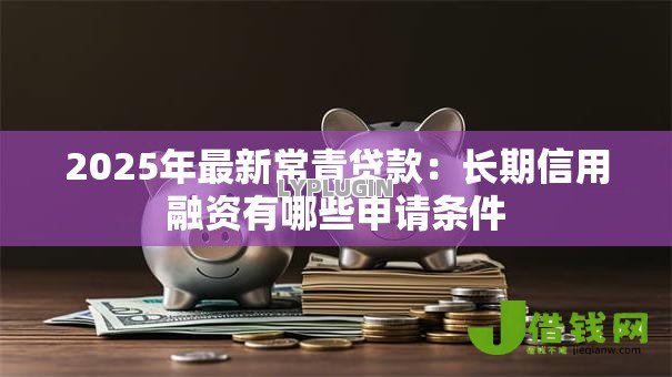 2025年最新常青贷款:长期信用融资有哪些申请条件 2025年最新常青贷款:长期信用融资有哪些申请条件