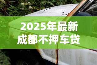 2025年最新成都不押车贷款:成都汽车抵押贷款办理有哪些条件 2025年最新成都不押车贷款:成都汽车抵押贷款办理有哪些条件