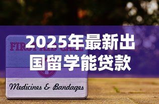 2025年最新出国留学能贷款吗：留学生如何申请助学贷款