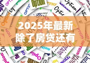 2025年最新除了房贷还有什么长期贷款:长期贷款种类有哪些? 2025年最新除了房贷还有什么长期贷款:长期贷款种类有哪些?