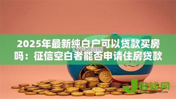 2025年最新纯白户可以贷款买房吗：征信空白者能否申请住房贷款