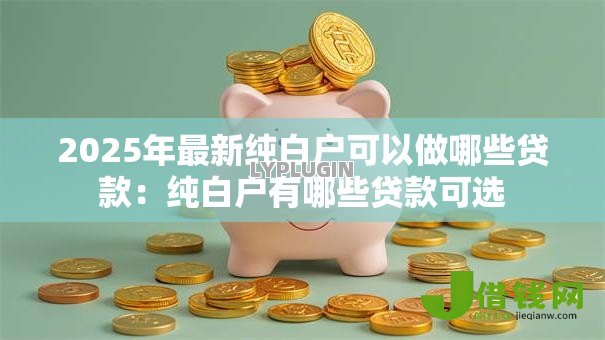 2025年最新纯白户可以做哪些贷款：纯白户有哪些贷款可选