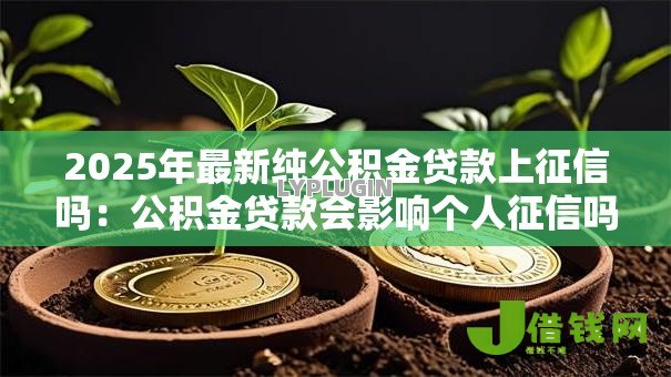 2025年最新纯公积金贷款上征信吗：公积金贷款会影响个人征信吗