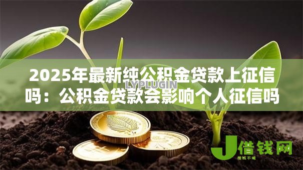 2025年最新纯公积金贷款上征信吗：公积金贷款会影响个人征信吗