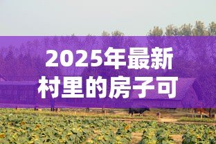 2025年最新村里的房子可以贷款吗：农村宅基地房屋能否抵押贷款