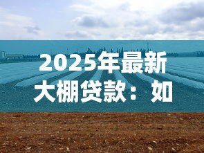 2025年最新大棚贷款：如何申请温室种植资金支持