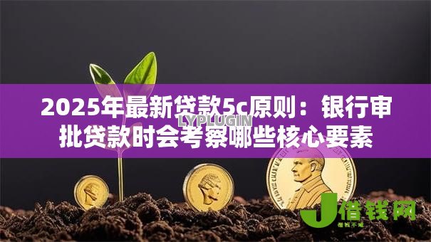 2025年最新贷款5c原则:银行审批贷款时会考察哪些核心要素 2025年最新贷款5c原则:银行审批贷款时会考察哪些核心要素