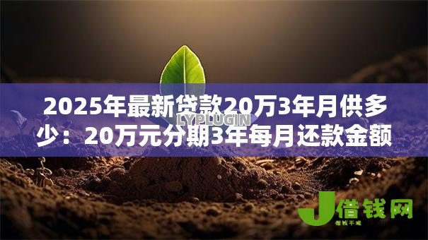 2025年最新贷款20万3年月供多少：20万元分期3年每月还款金额是多少