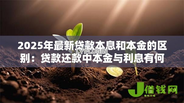 2025年最新贷款本息和本金的区别：贷款还款中本金与利息有何不同