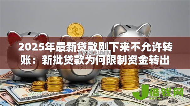 2025年最新贷款刚下来不允许转账:新批贷款为何限制资金转出 2025年最新贷款刚下来不允许转账:新批贷款为何限制资金转出