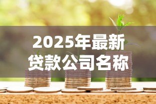 2025年最新贷款公司名称：哪家信贷机构值得信赖