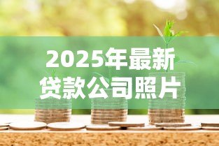 2025年最新贷款公司照片：如何识别正规金融机构的办公环境