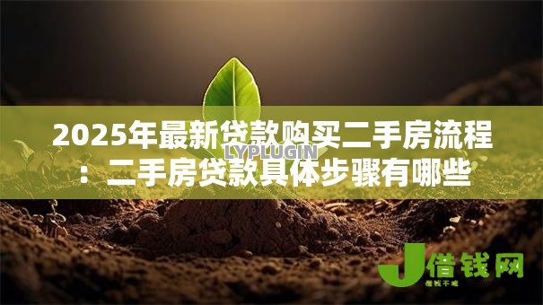 2025年最新贷款购买二手房流程：二手房贷款具体步骤有哪些