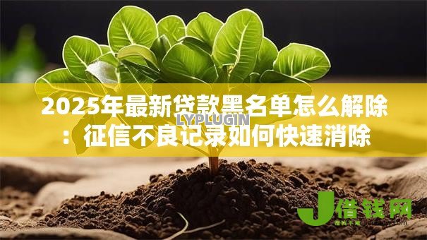 2025年最新贷款黑名单怎么解除：征信不良记录如何快速消除