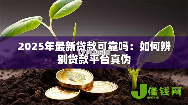 2025年最新贷款可靠吗：如何辨别贷款平台真伪