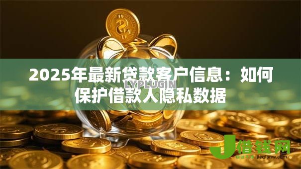 2025年最新贷款客户信息：如何保护借款人隐私数据