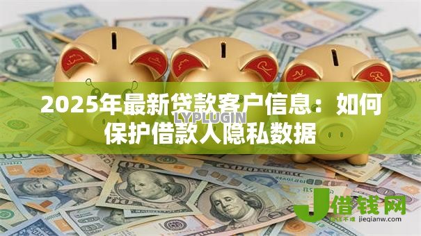 2025年最新贷款客户信息：如何保护借款人隐私数据