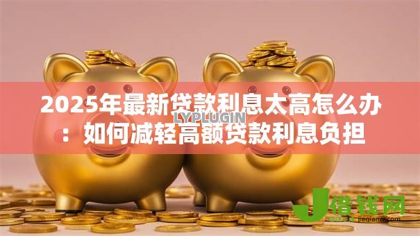 2025年最新贷款利息太高怎么办：如何减轻高额贷款利息负担