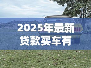 2025年最新贷款买车有手续费吗：贷款购车是否需要额外支付手续费