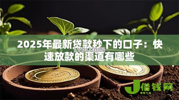 2025年最新贷款秒下的口子：快速放款的渠道有哪些