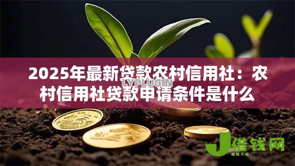 2025年最新贷款农村信用社：农村信用社贷款申请条件是什么