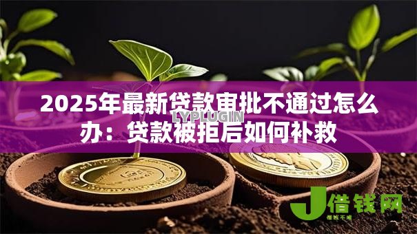 2025年最新贷款审批不通过怎么办:贷款被拒后如何补救 2025年最新贷款审批不通过怎么办:贷款被拒后如何补救