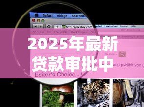 2025年最新贷款审批中：贷款进度如何查询