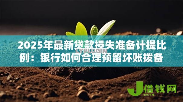 2025年最新贷款损失准备计提比例：银行如何合理预留坏账拨备资金