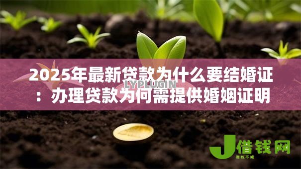 2025年最新贷款为什么要结婚证：办理贷款为何需提供婚姻证明
