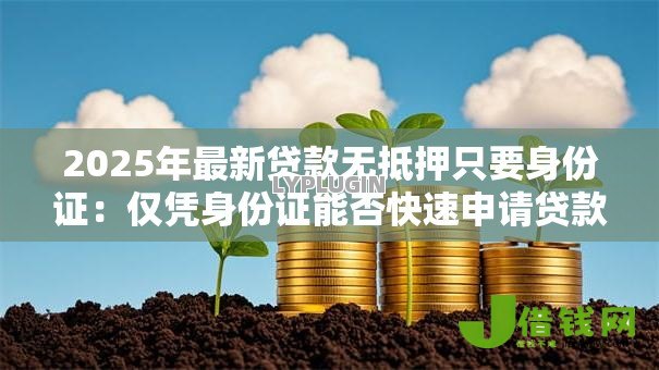 2025年最新贷款无抵押只要身份证：仅凭身份证能否快速申请贷款