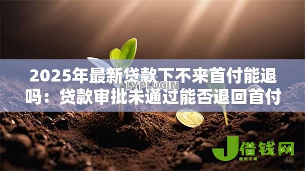 2025年最新贷款下不来首付能退吗：贷款审批未通过能否退回首付