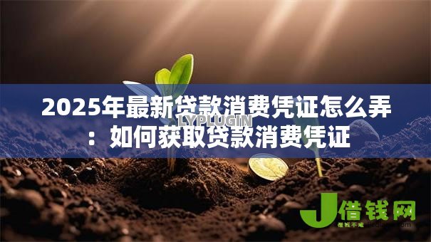 2025年最新贷款消费凭证怎么弄：如何获取贷款消费凭证