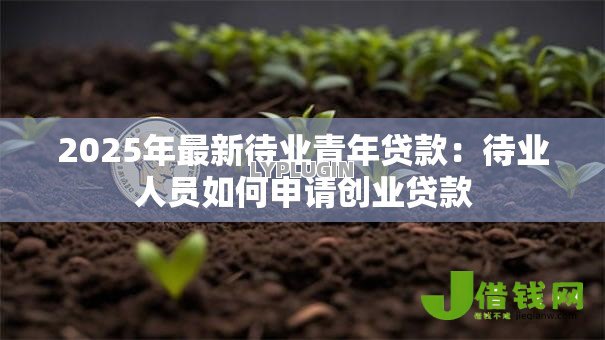 2025年最新待业青年贷款:待业人员如何申请创业贷款 2025年最新待业青年贷款:待业人员如何申请创业贷款