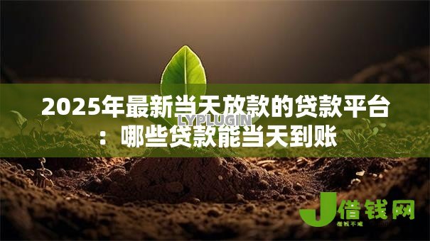 2025年最新当天放款的贷款平台：哪些贷款能当天到账