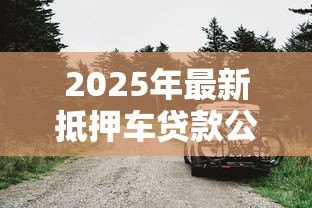 2025年最新抵押车贷款公司：车辆抵押贷款如何选择靠谱机构