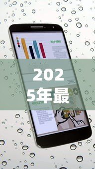 2025年最新电话号贷款：仅凭手机号能借钱吗