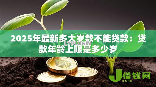 2025年最新多大岁数不能贷款:贷款年龄上限是多少岁 2025年最新多大岁数不能贷款:贷款年龄上限是多少岁