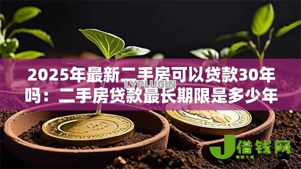2025年最新二手房可以贷款30年吗:二手房贷款最长期限是多少年 2025年最新二手房可以贷款30年吗:二手房贷款最长期限是多少年