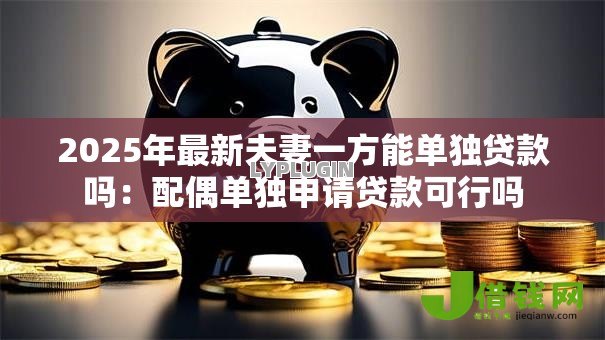 2025年最新夫妻一方能单独贷款吗:配偶单独申请贷款可行吗 2025年最新夫妻一方能单独贷款吗:配偶单独申请贷款可行吗