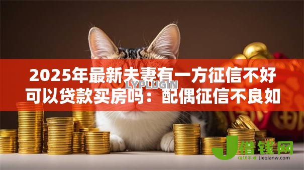 2025年最新夫妻有一方征信不好可以贷款买房吗：配偶征信不良如何申请房贷