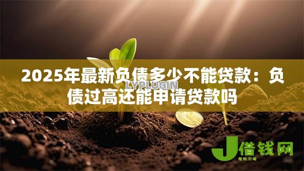2025年最新负债多少不能贷款：负债过高还能申请贷款吗