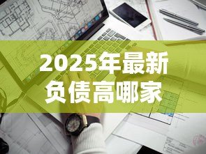 2025年最新负债高哪家贷款好下：负债高征信花适合申请哪些贷款
