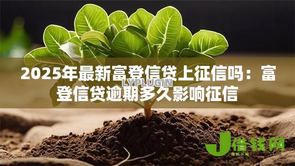 2025年最新富登信贷上征信吗：富登信贷逾期多久影响征信