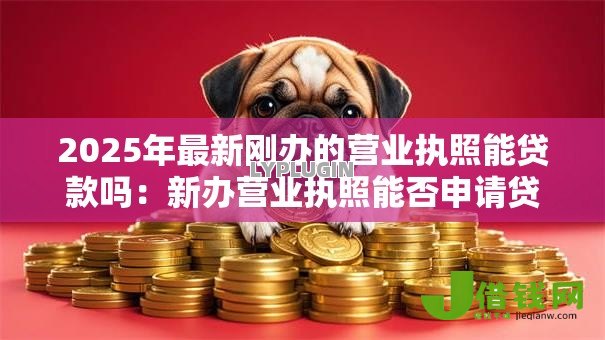 2025年最新刚办的营业执照能贷款吗：新办营业执照能否申请贷款