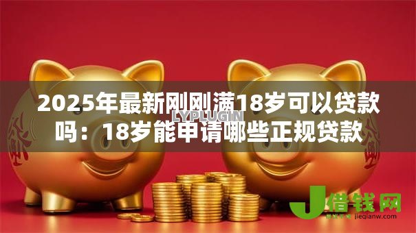 2025年最新刚刚满18岁可以贷款吗：18岁能申请哪些正规贷款