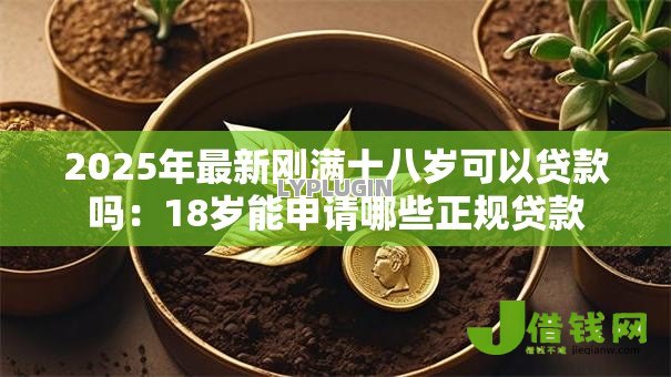 2025年最新刚满十八岁可以贷款吗：18岁能申请哪些正规贷款