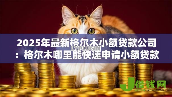 2025年最新格尔木小额贷款公司：格尔木哪里能快速申请小额贷款