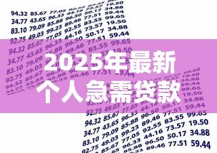 2025年最新个人急需贷款：急需资金周转如何快速申请贷款